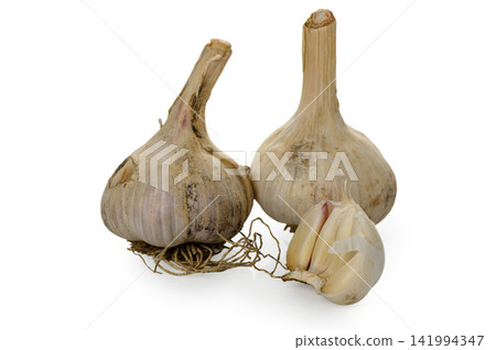 Two Whole Garlic Bulbs and a Clove Two Whole Garlic Bulbs and a Clove 141994347