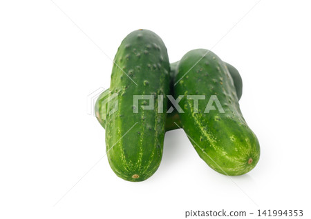 Several Fresh Cucumbers Several Fresh Cucumbers 141994353