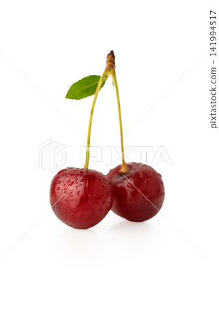 Pair of Glistening Fresh Cherries with Single Green Leaf 141994517