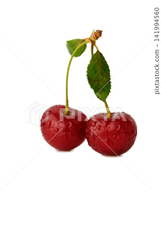 Two fresh ripe red cherries with water droplets, stems, and leaves isolated on white Two fresh ripe red cherries with water droplets, stems, and leaves isolated on white 141994560