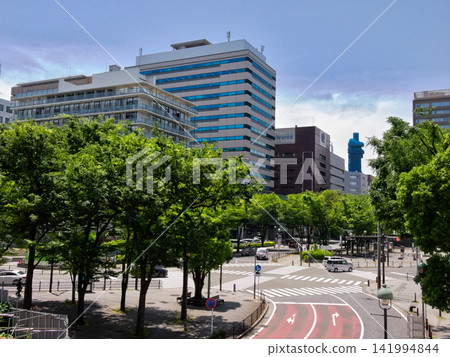 城市中的綠地，通往大海的道路 141994844