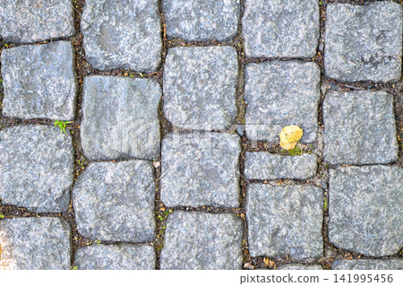 Gray stone pavement with a single yellow leaf. Tiny green sprouts peek between stones. Rough, weathered surface shows age and wear. Natural textures ideal for rustic design projects Gray stone pavement with a single yellow leaf. Tiny green sprouts peek between stones. Rough, weathered surface shows age and wear. Natural textures ideal for rustic design projects 141995456