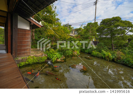 Shimeisho Shimeisho 141995616