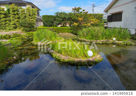 Shimeisho Shimeisho 141995618