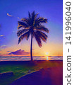 Palm Tree Sunset Beach 141996040