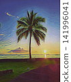 Palm Tree Sunset Beach 141996041