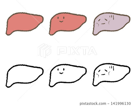 肝臟插圖集 肝臟插圖集 141996130