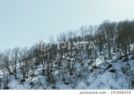 Ski resort, Hakuba Village Ski resort, Hakuba Village 141996459