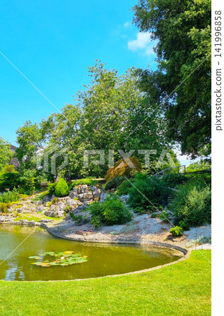 Tranquil Summer Garden Scene with Pond and Lush Greenery for Landscape Design Inspiration Tranquil Summer Garden Scene with Pond and Lush Greenery for Landscape Design Inspiration 141996858