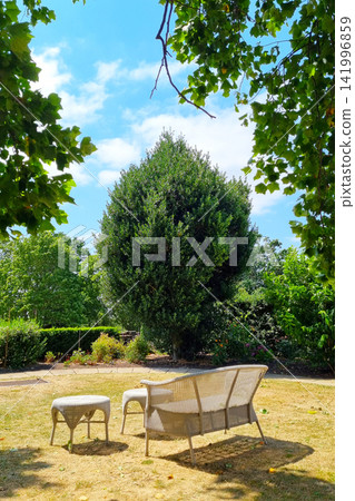 Tranquil Garden Oasis with Wicker Furniture and Lush Greenery under Blue Sky 141996859