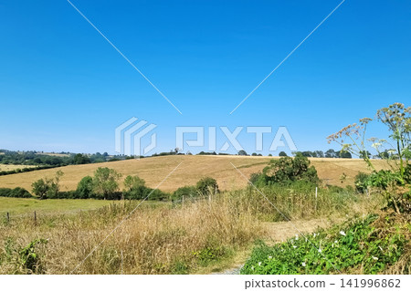 Sunny Summer Countryside Landscape with Rolling Hills and Clear Blue Sky 141996862