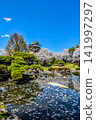 A beautiful castle in spring with cherry blossoms in full bloom 141997297