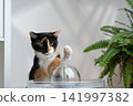 cat drinking water from pet fountain 141997382
