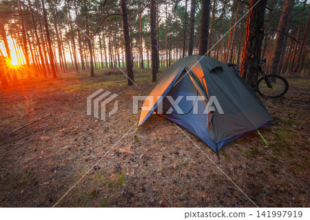 A tourist tent in the forest with a view of the sunset A tourist tent in the forest with a view of the sunset 141997919