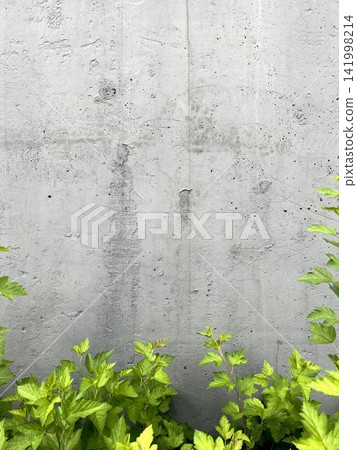 Concrete wall background with green bush leaves in foreground Concrete wall background with green bush leaves in foreground 141998214
