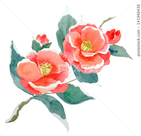 Red camellia flower - watercolor illustration Red camellia flower - watercolor illustration 141998438