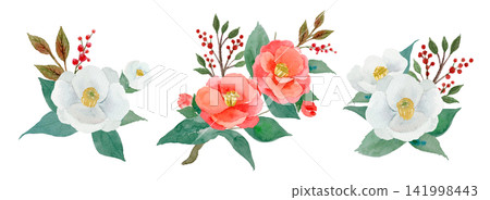Red and white camellias and nandina - watercolor illustration set Red and white camellias and nandina - watercolor illustration set 141998443