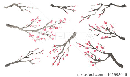 Watercolor painting of a plum branch in an ink painting style 141998446