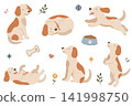 Set of cute hand drawn dog characters, cartoon puppies and pet accessories elements isolated on white background 141998750