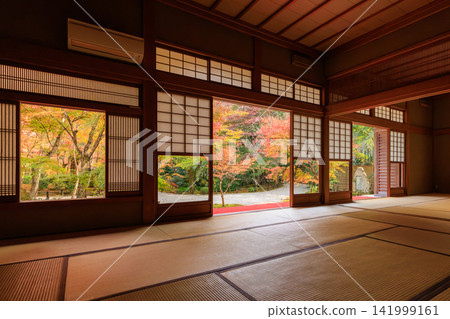 Autumn leaves in the Jūgyū-no-niwa garden viewed from the Zuiun-kaku pavilion at Enkō-ji Temple in Kyoto. 141999161