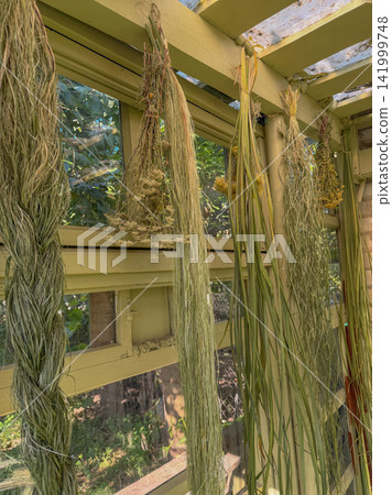 Reeds and cattails form part of natural botanical display within garden house floristry workspace. Reeds and cattails are arranged in garden house for creative floristry. Reeds and cattails form part of natural botanical display within garden house floristry workspace. Reeds and cattails are arranged in garden house for creative floristry. 141999748