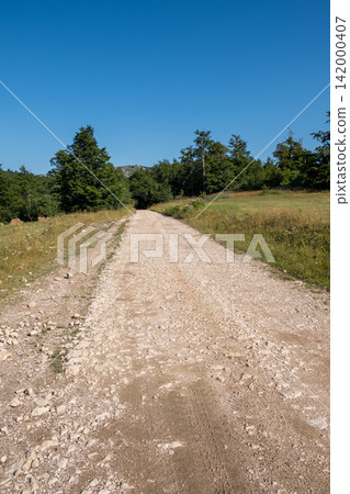 Gravel road through grassy countryside and trees Gravel road through grassy countryside and trees 142000407