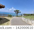 Beautiful tropical beaches and azure skies | Chinen Cape | Okinawa 142000610