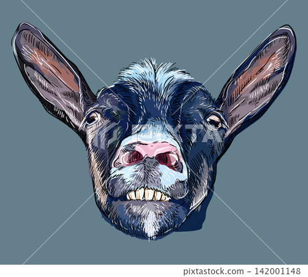 Funny black goat muzzle design isolated vector illustration 142001148