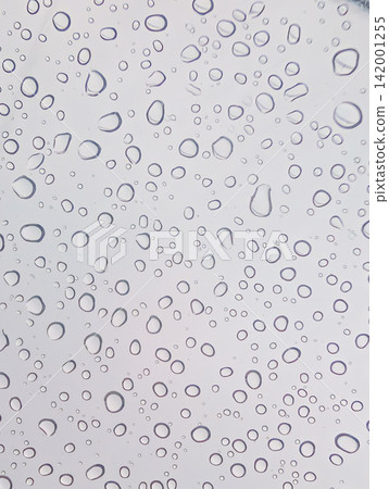 Water droplets of various sizes spread across a transparent surface / A simple abstract background material that expresses coolness and moisture. Water droplets of various sizes spread across a transparent surface / A simple abstract background material that expresses coolness and moisture. 142001255