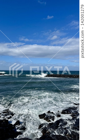 Rugged volcanic rocky coastline with foamy Atlantic waves and black lava cliffs Rugged volcanic rocky coastline with foamy Atlantic waves and black lava cliffs 142001279