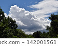 Summer clouds Summer clouds 142001561