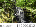 Waterfall Waterfall 142001612