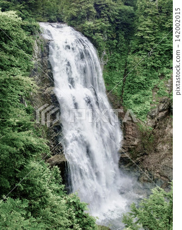 In summer, the scenery of Sanjo Falls cascading down a deep green valley in Oze National Park. In summer, the scenery of Sanjo Falls cascading down a deep green valley in Oze National Park. 142002015