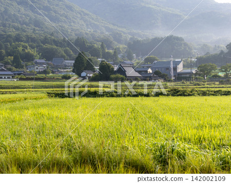 大阪府乃瀨町的鄉村景色 大阪府乃瀨町的鄉村景色 142002109