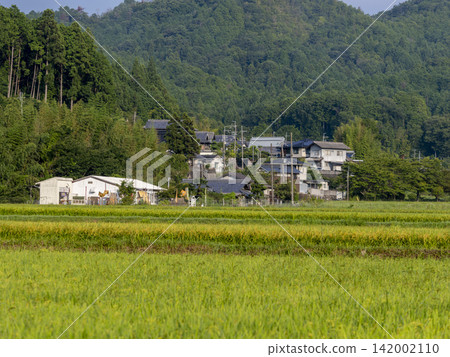 A rural landscape spreading across Nose Town, Osaka Prefecture A rural landscape spreading across Nose Town, Osaka Prefecture 142002110