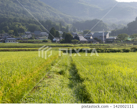 A rural landscape spreading across Nose Town, Osaka Prefecture A rural landscape spreading across Nose Town, Osaka Prefecture 142002111