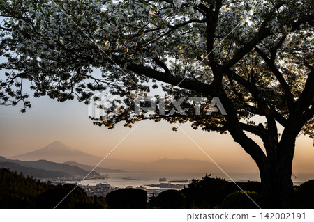 清晨從日本平眺望富士山、足座山和駿河灣。 清晨從日本平眺望富士山、足座山和駿河灣。 142002191
