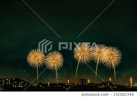 Fireworks that spread to the night sky Fireworks that spread to the night sky 142002348