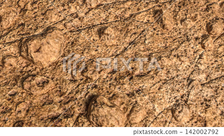 Detailed Brown Rocky Ground Texture with Scattered Stones 3d render. Detailed Brown Rocky Ground Texture with Scattered Stones 3d render. 142002792