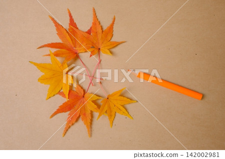 Sketchbook and maple leaf autumn image material Sketchbook and maple leaf autumn image material 142002981