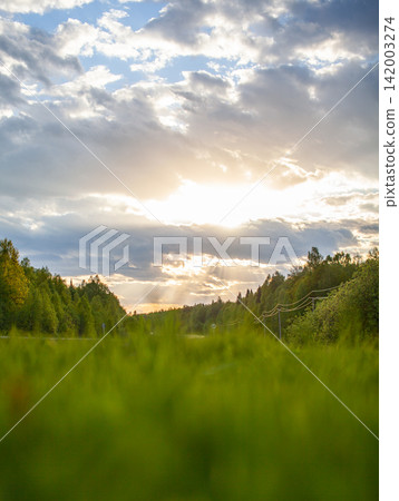 Scenic view features a grassy field with trees and power lines beneath a dramatic sky at sunset, highlighting vibrant colors and natural elements 142003274