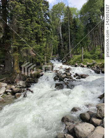 Rapid river cascades over large rocks, with dense green trees lining the banks in a mountainous forest setting under clear blue skies Rapid river cascades over large rocks, with dense green trees lining the banks in a mountainous forest setting under clear blue skies 142003287