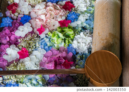 森町的繡球花寺 森町的繡球花寺 142003350