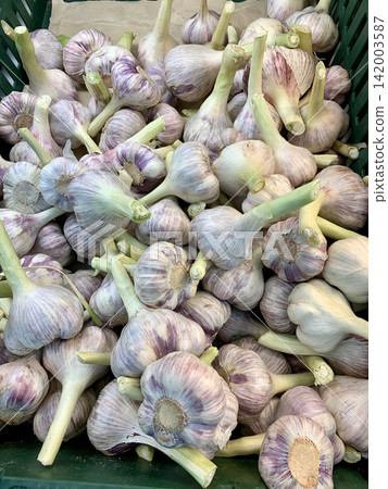 Fresh garlic bulbs with purple skins are stacked in a green basket at a market, highlighting their unique shapes and vibrant colors Fresh garlic bulbs with purple skins are stacked in a green basket at a market, highlighting their unique shapes and vibrant colors 142003587