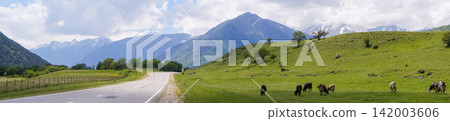 Scenic view of cows grazing on lush green grass beside a winding road, with majestic mountains and a partly cloudy sky in the background Scenic view of cows grazing on lush green grass beside a winding road, with majestic mountains and a partly cloudy sky in the background 142003606
