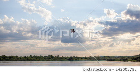 Bird gliding above a tranquil river surrounded by greenery, with a cloudy sky and sunlight creating a serene atmosphere Bird gliding above a tranquil river surrounded by greenery, with a cloudy sky and sunlight creating a serene atmosphere 142003785