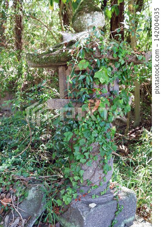 Shrine stone lantern Shrine stone lantern 142004035