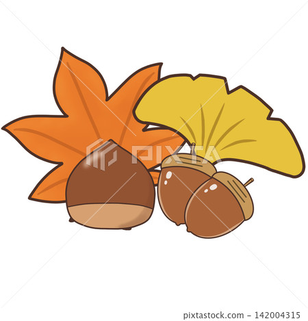 A hand-drawn style illustration of autumn leaves, ginkgo trees, chestnuts, and acorns in an autumn corner. A hand-drawn style illustration of autumn leaves, ginkgo trees, chestnuts, and acorns in an autumn corner. 142004315