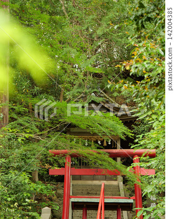 Kotomama Hachimangu Shrine, Inari Shrine, May Kotomama Hachimangu Shrine, Inari Shrine, May 142004385