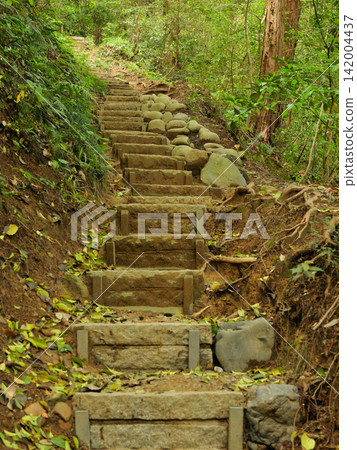 言葉八幡宮:通往正殿的道路,五月 言葉八幡宮:通往正殿的道路,五月 142004437